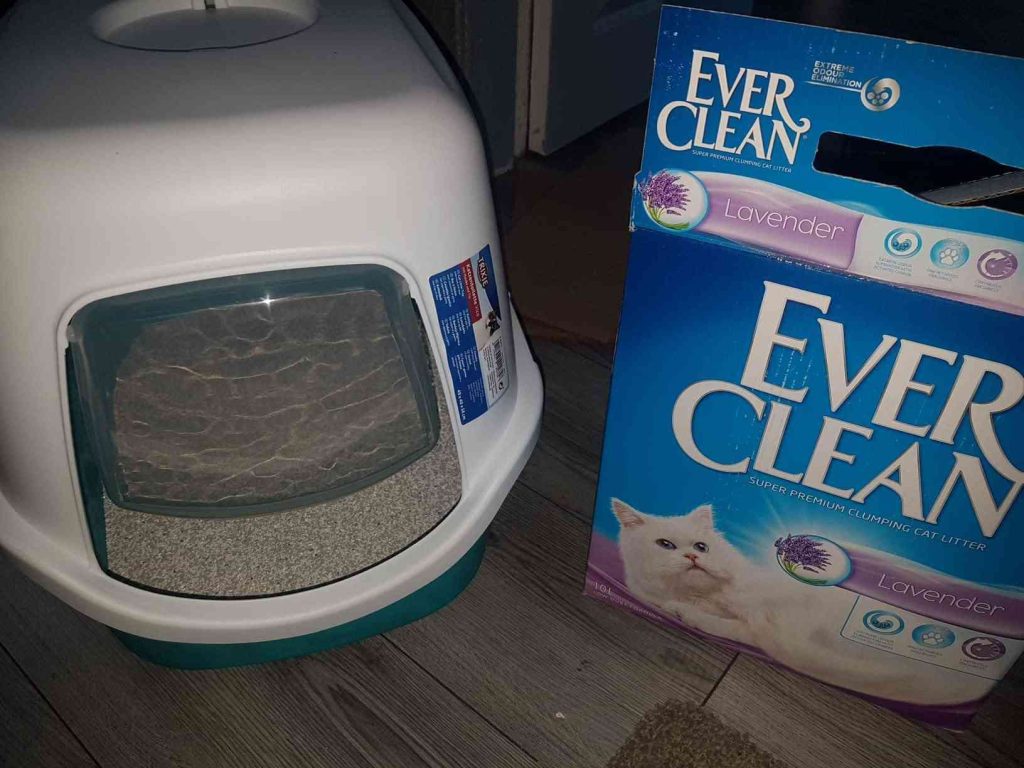 Ever Clean Cat Litter Review: Superior Clumping and Odor Control Explained