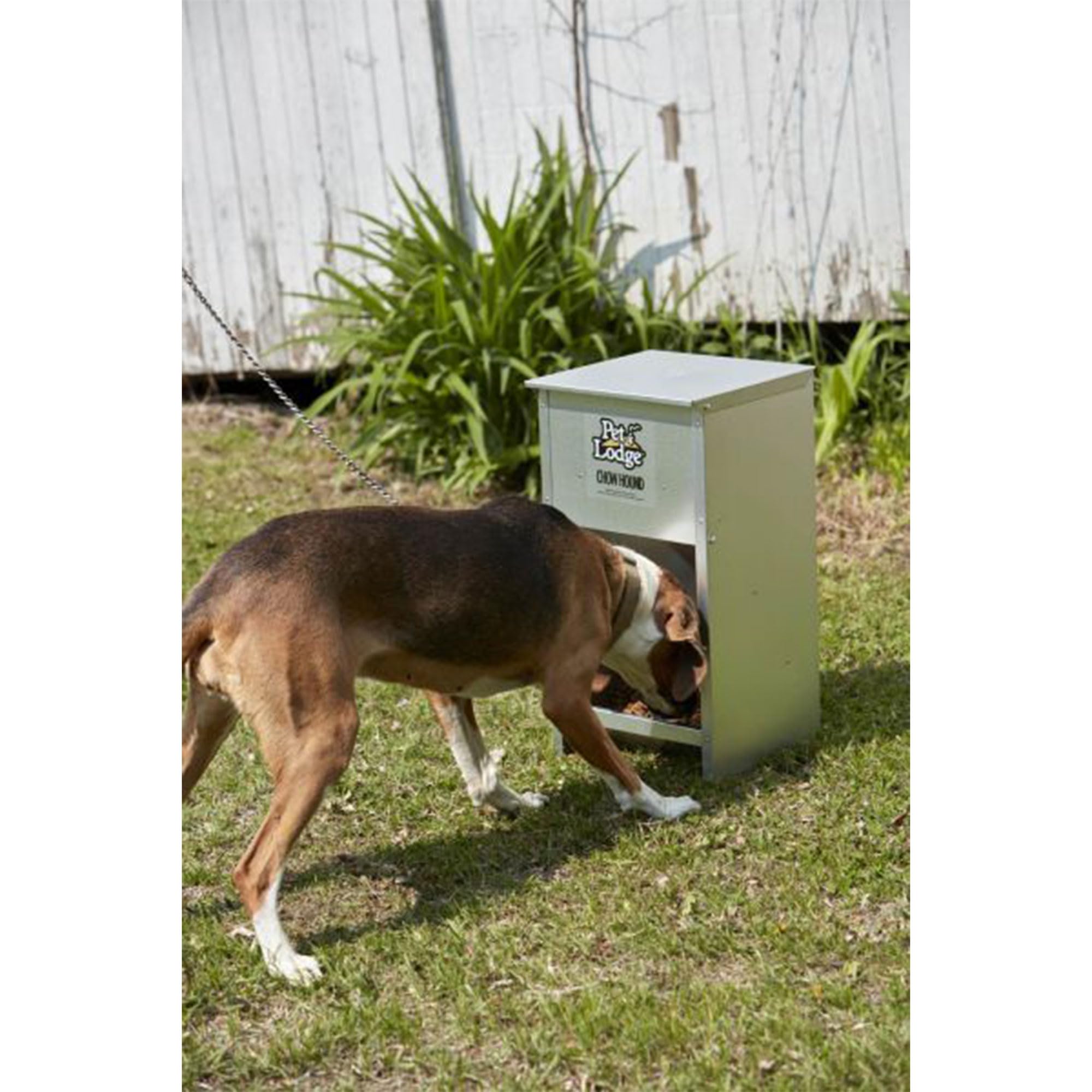 Top Pet Lodge Dog Feeder Options for Your Furry Friend