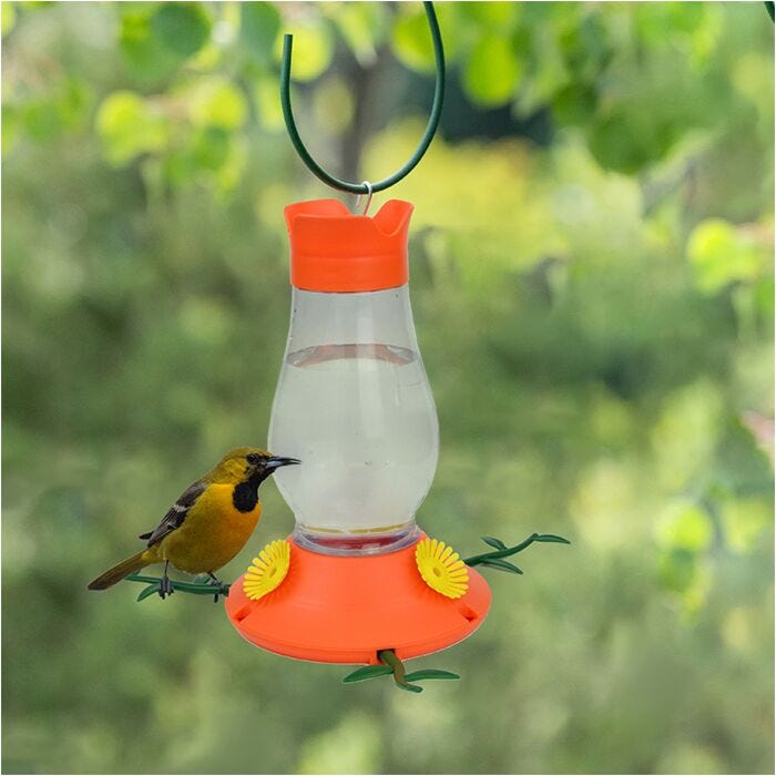 Buy Perky Pet Oriole Feeder Online – Best Prices & Deals