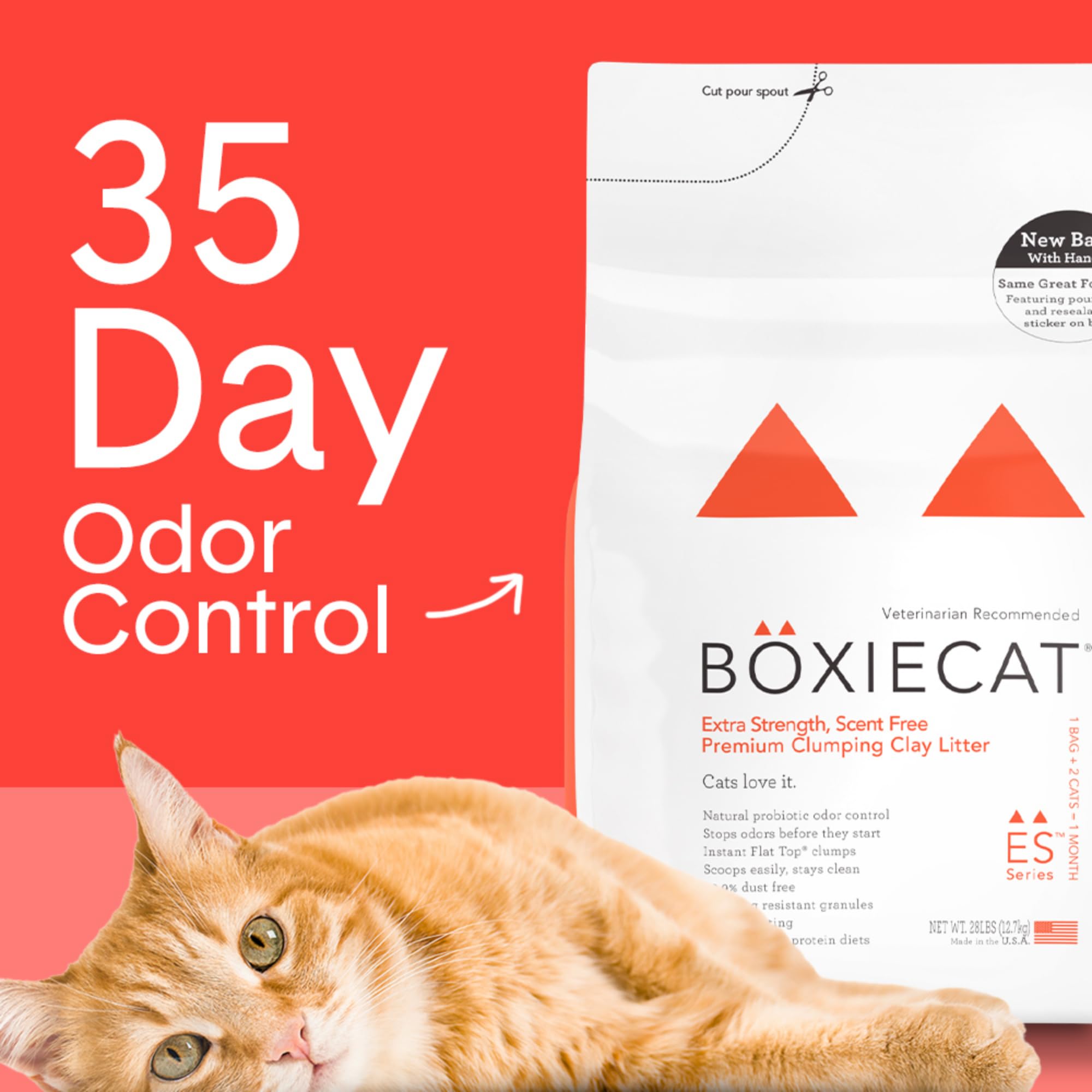 Boxiecat Litter Review: Top Choice for Clumping, Odor-Free Cat Care