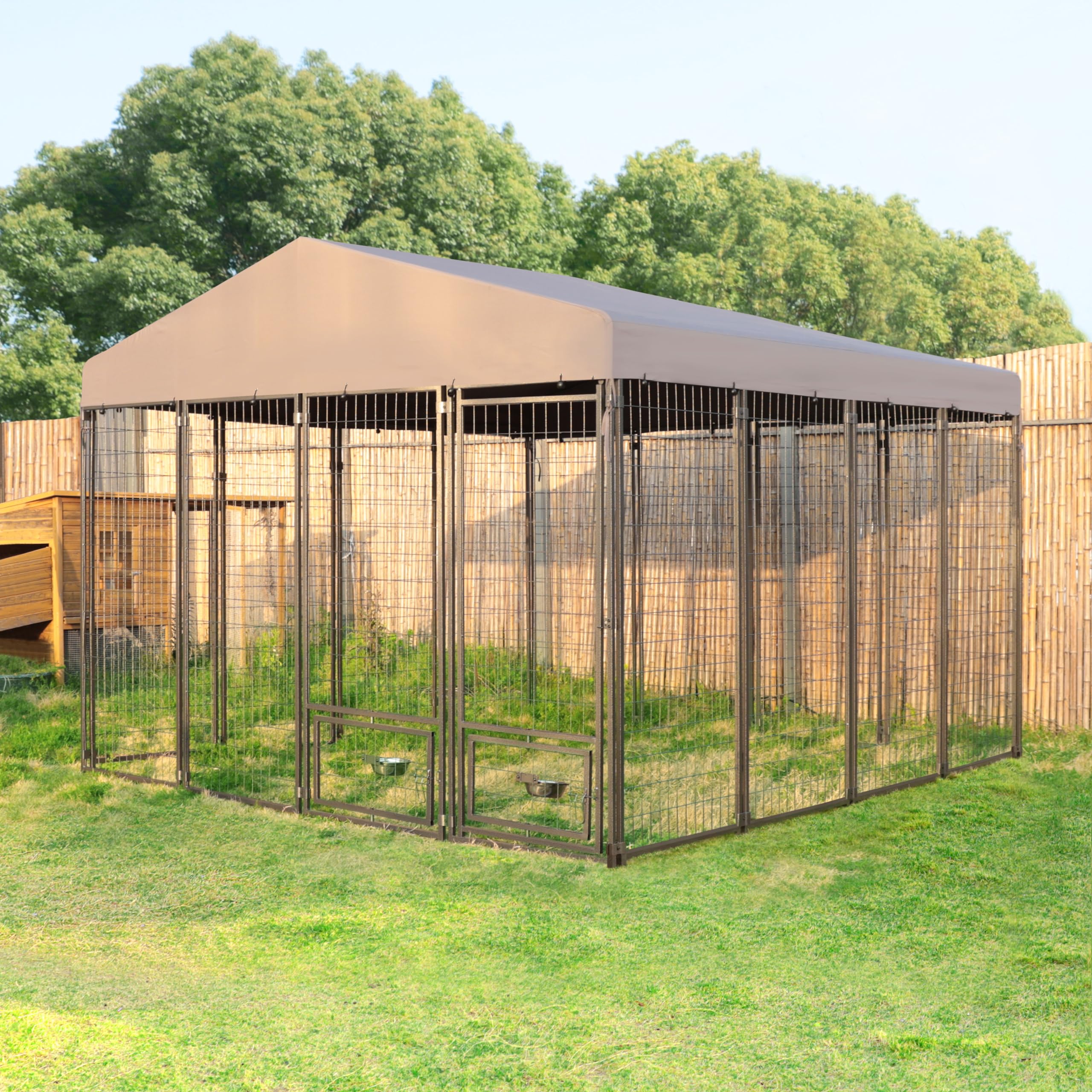 10 x 10 dog kennel