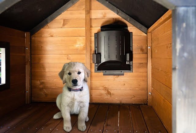 Best Heated Dog Houses for Winter Comfort and Safety