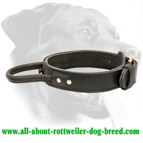 Best Rottweiler Dog Collars for Training and Comfort