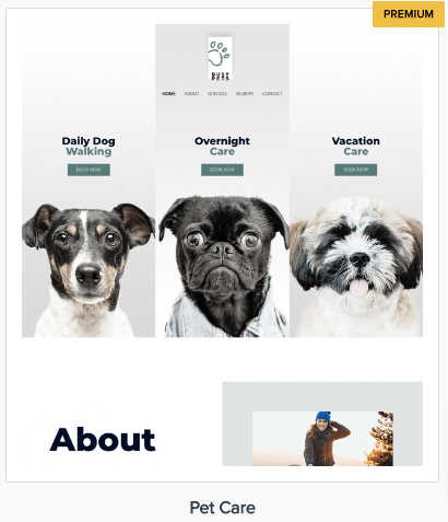 start a pet care blog