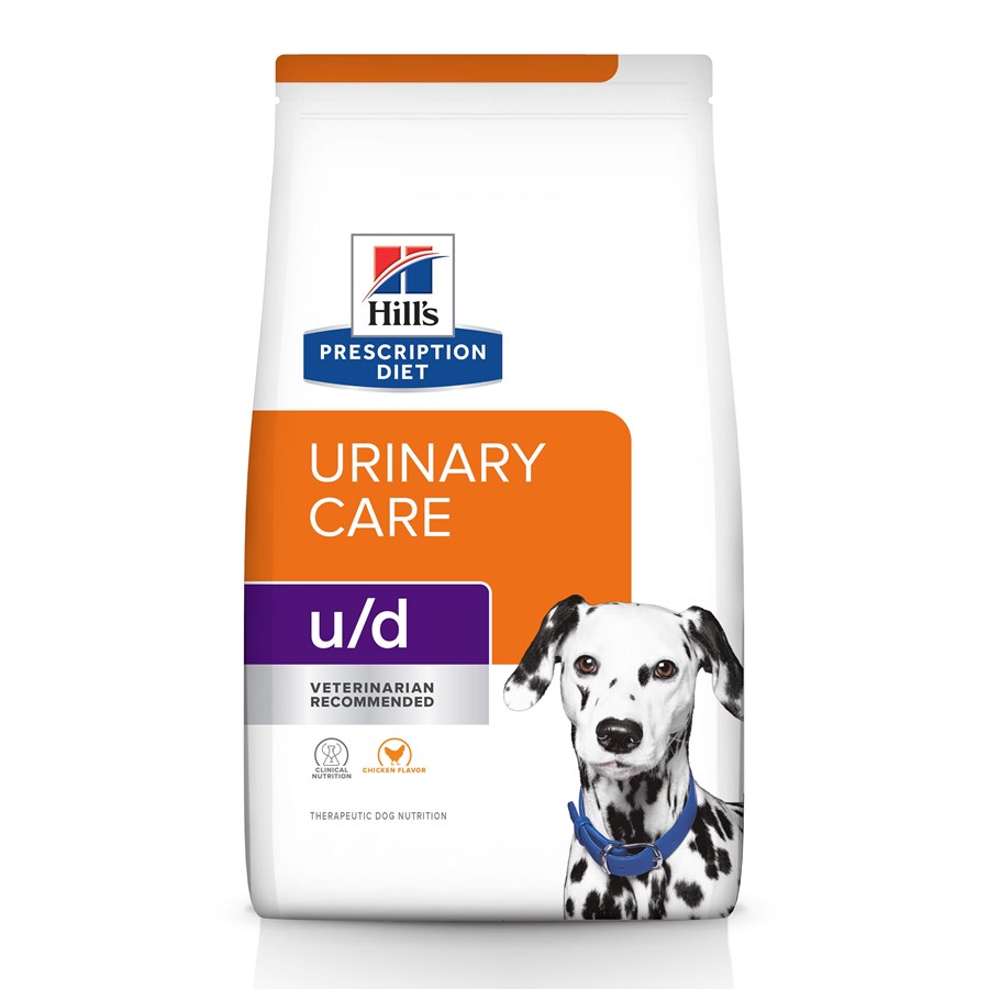 Top Bladder Stone Diets for Dogs: Low Oxalate, High Moisture Options