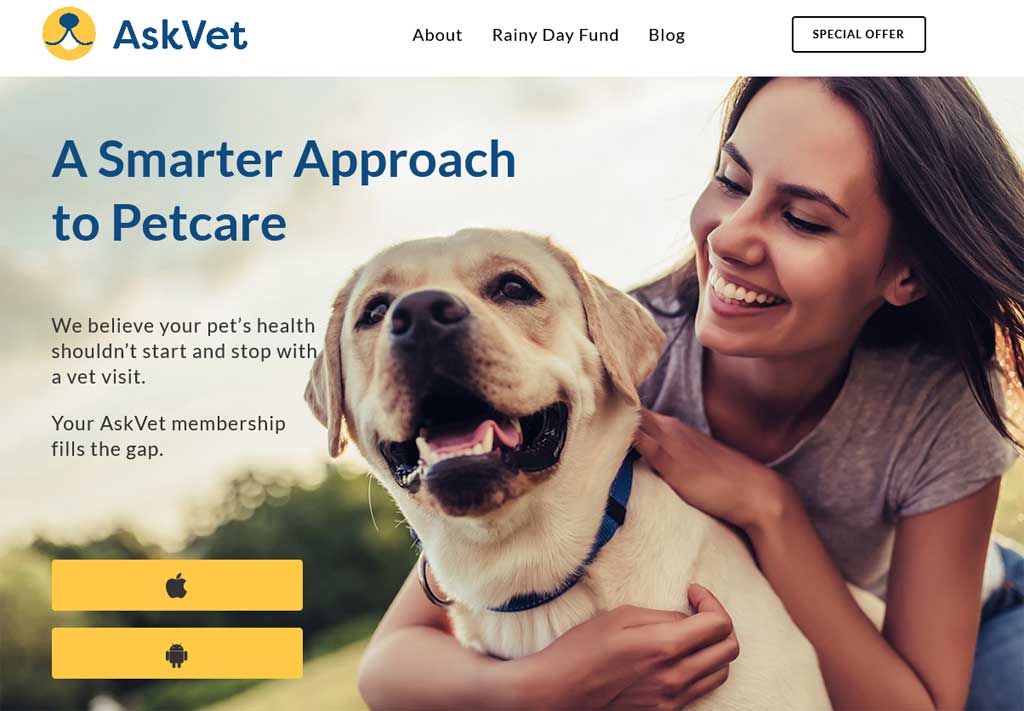 NetViet Review: Your Go-To Platform for Reliable Pet Care Knowledge and Community
