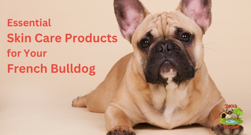 Top Natural Remedies to Relieve French Bulldog Itchy Skin Naturally