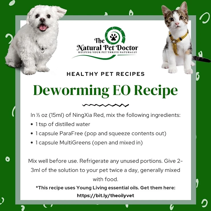 Top Natural Cat Wormer: Home Remedies That Work