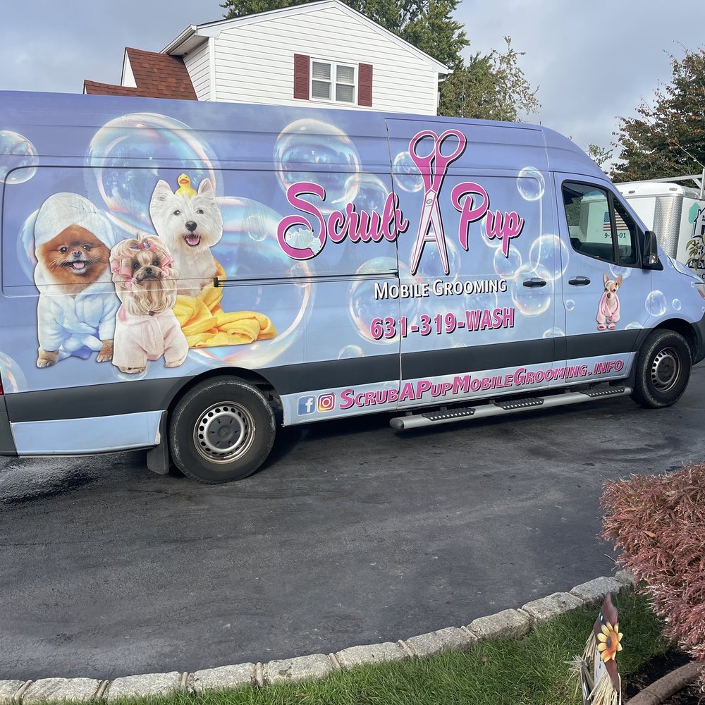 Top Mobile Dog Grooming Near Me – Convenient, Reliable, and Pet-Friendly Services