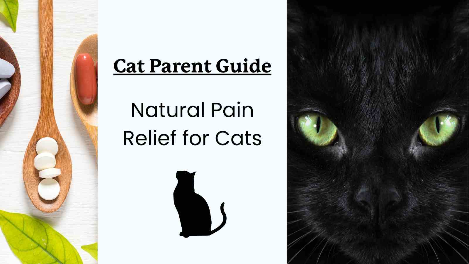 Natural Pain Relief for Cats: Safe and Effective Options