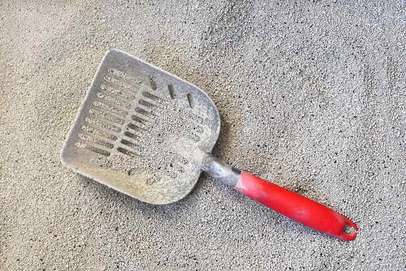 Best Cat Litter Scoops in 2024: Top Picks for Easy Cleaning