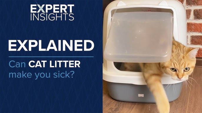 Is Your Cats Litter Box Making Them Sick? Key Signs and Solutions