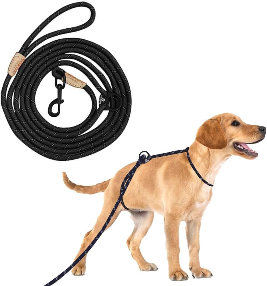 Premium Rope Leash for Dogs: A Must-Have for Training and Daily Walks