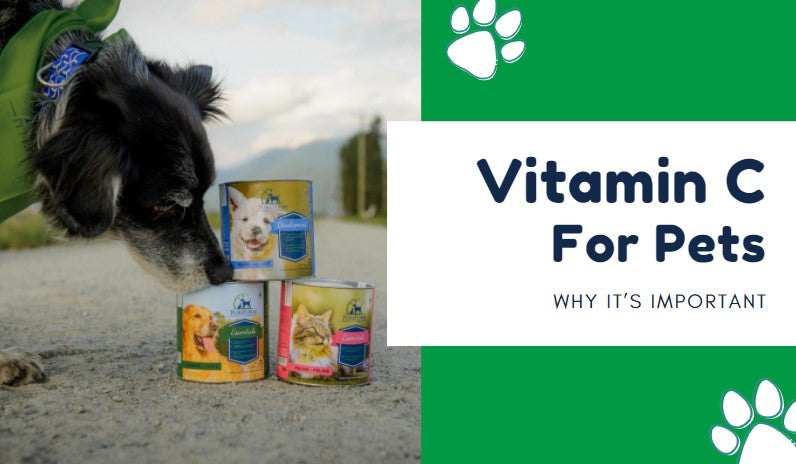 Why C&C Pet Food is the Best Choice for Your Dog
