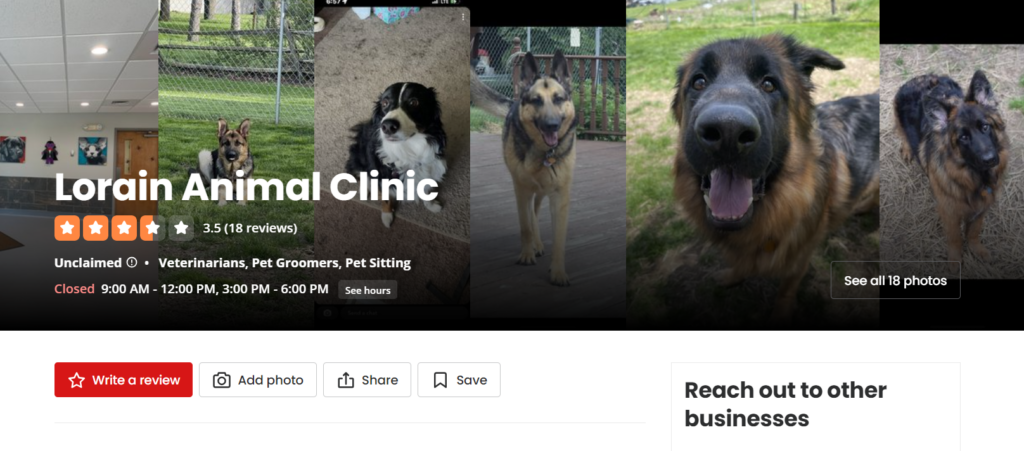Find Quality All Pets Vet Care in Lorain, Ohio – Your Local Pet Health Experts