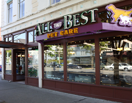 All The Best Pet Care Lake City: Top Pet Products & Services in Seattle