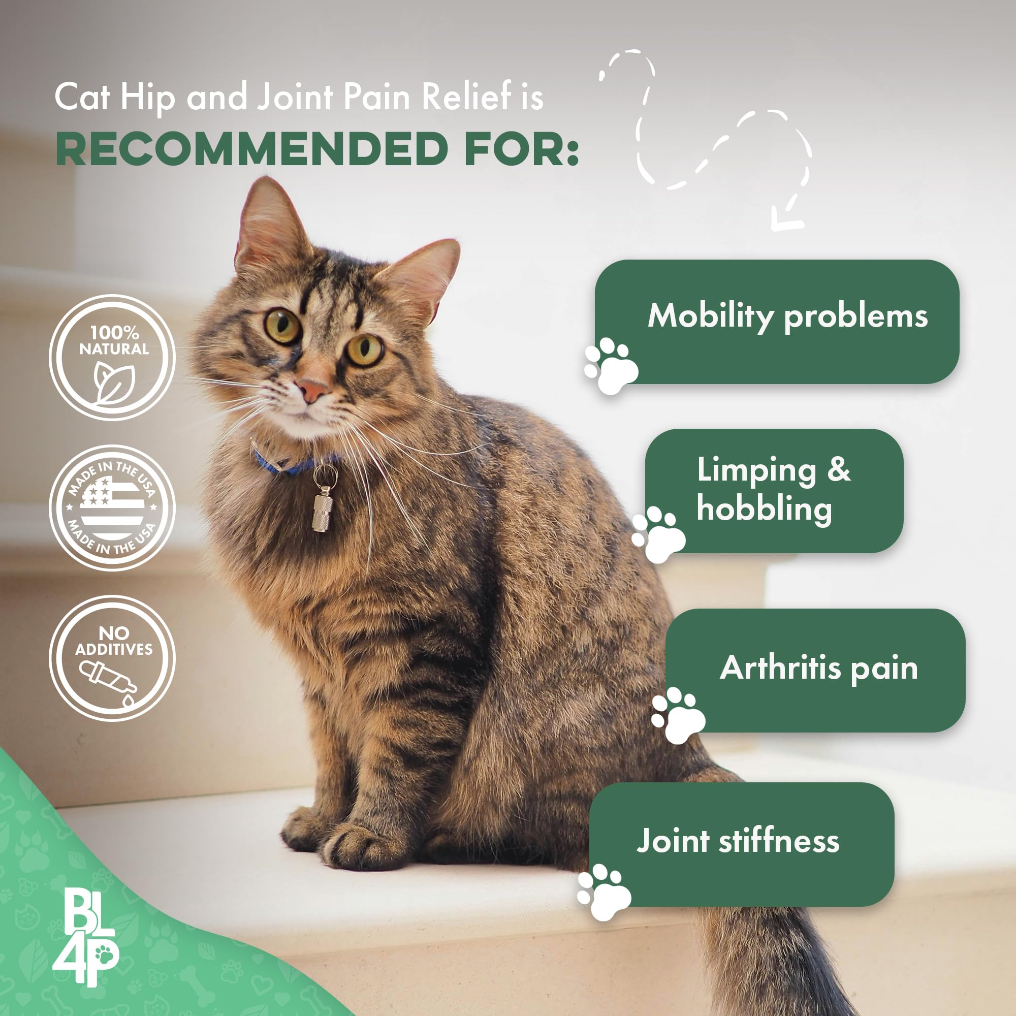 Natural Pain Relief for Cats: Safe and Effective Options