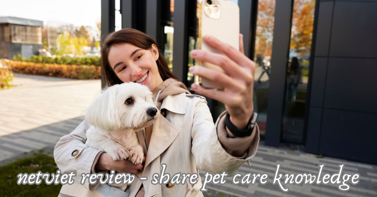 NetViet Review: Your Go-To Platform for Reliable Pet Care Knowledge and Community