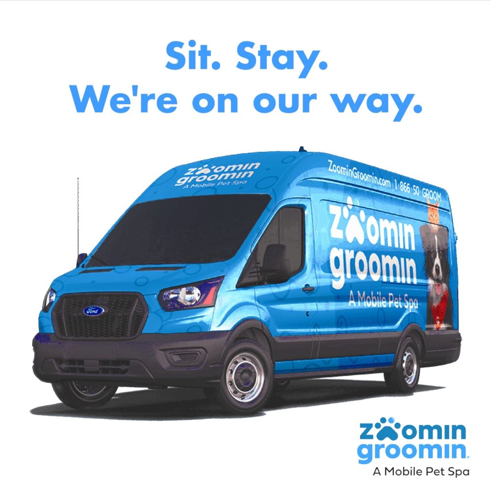 Top Mobile Dog Grooming Near Me – Convenient, Reliable, and Pet-Friendly Services