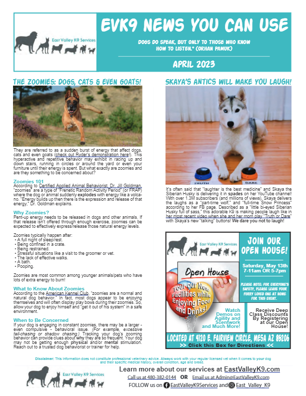 Get the Latest Pet News and Expert Advice with Our Free Newsletter