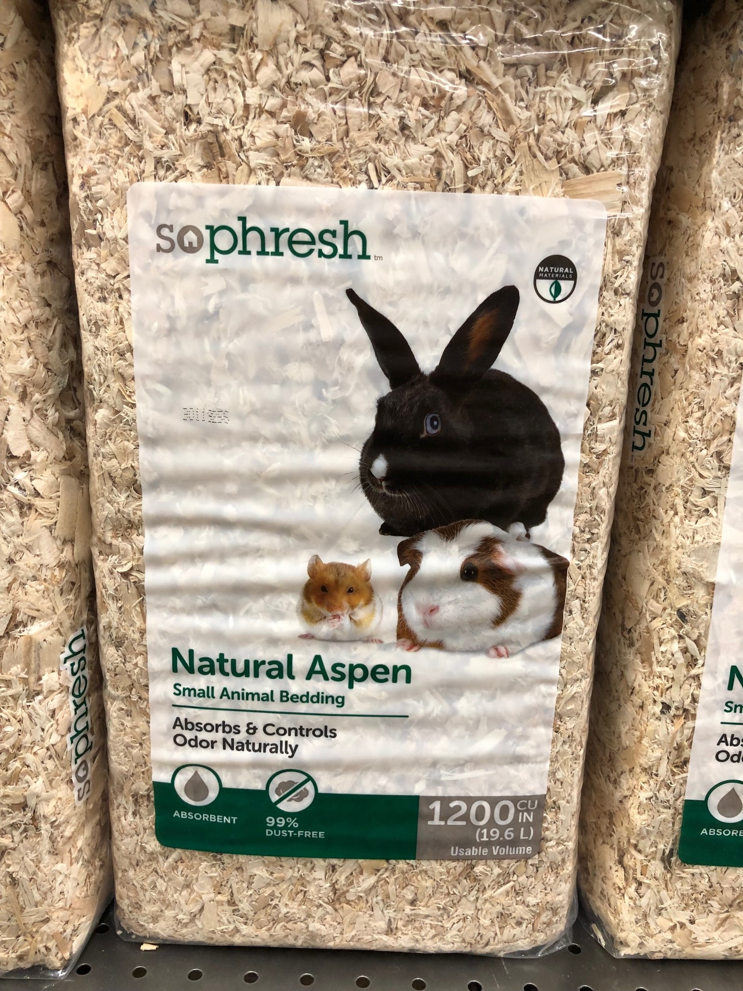 Can Bunnies Use Cat Litter? Heres What You Should Avoid