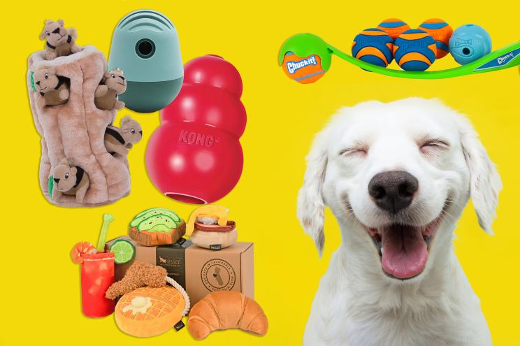 Best Pet Toys for Small Dogs: Top Picks for Your Tiny Pooch