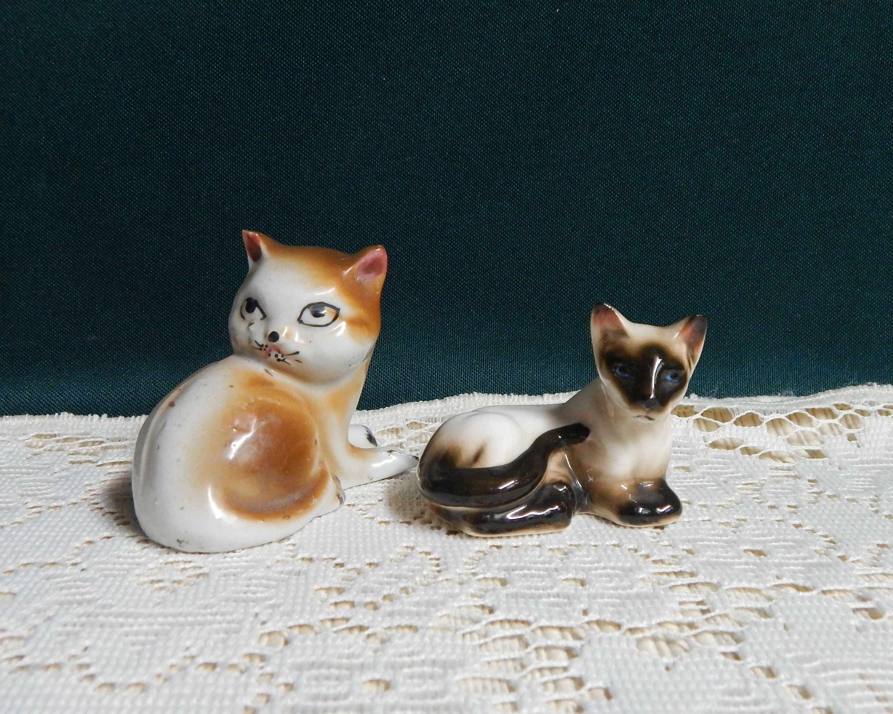 Mini Siamese Cat: The Perfect Tiny Companion for Your Home