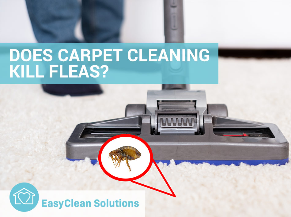Deep Clean Your Carpets: Flea Shampoo for Carpet Cleaner Tips