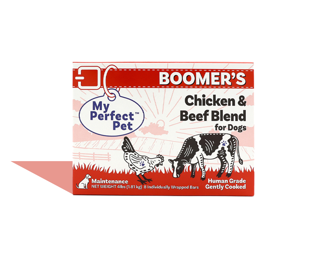 Where to Find Perfect Pet Dog Food? Your Guide to the Best Brands