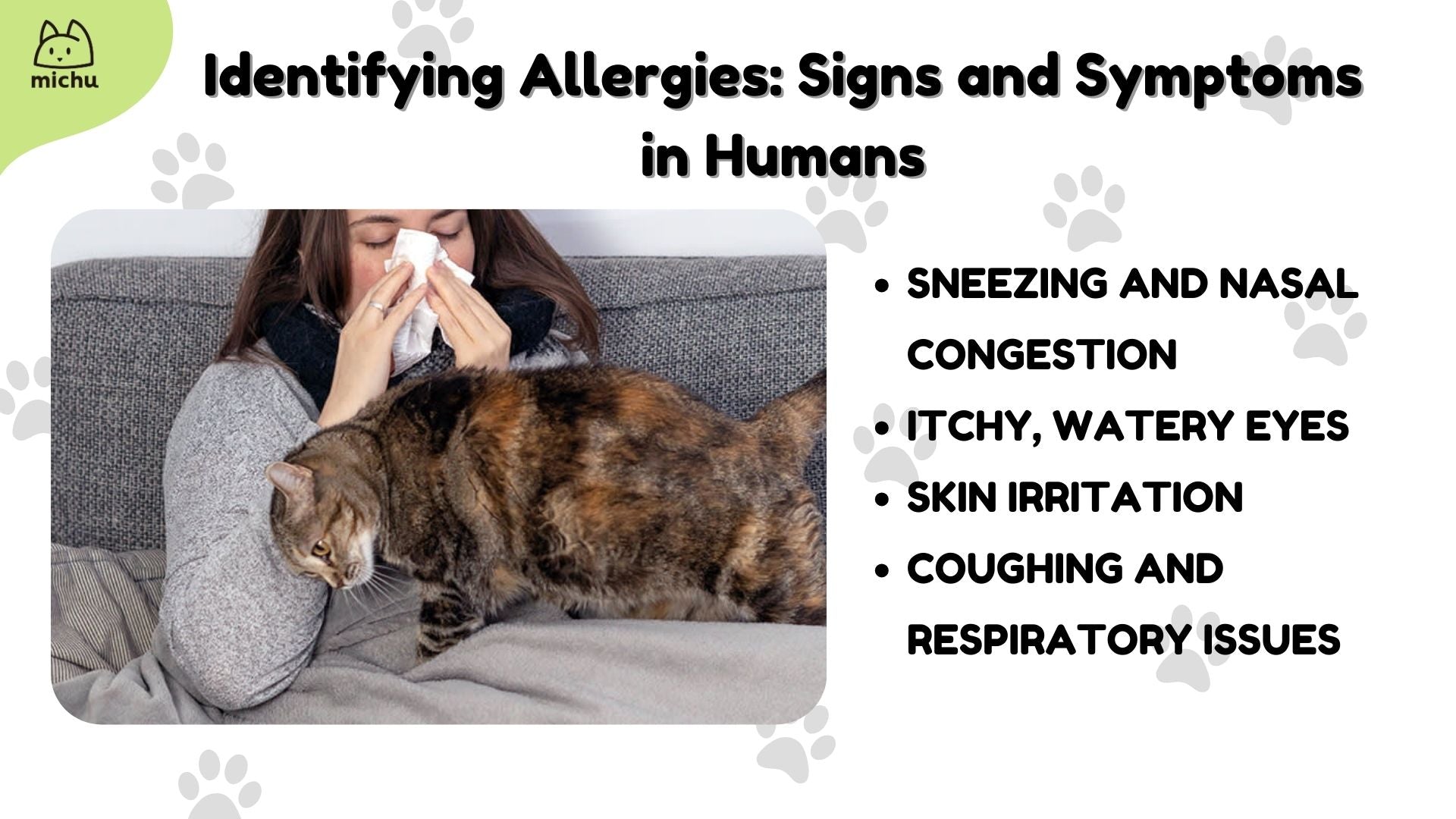 Human Allergic to Cat Litter? Common Symptoms to Watch For