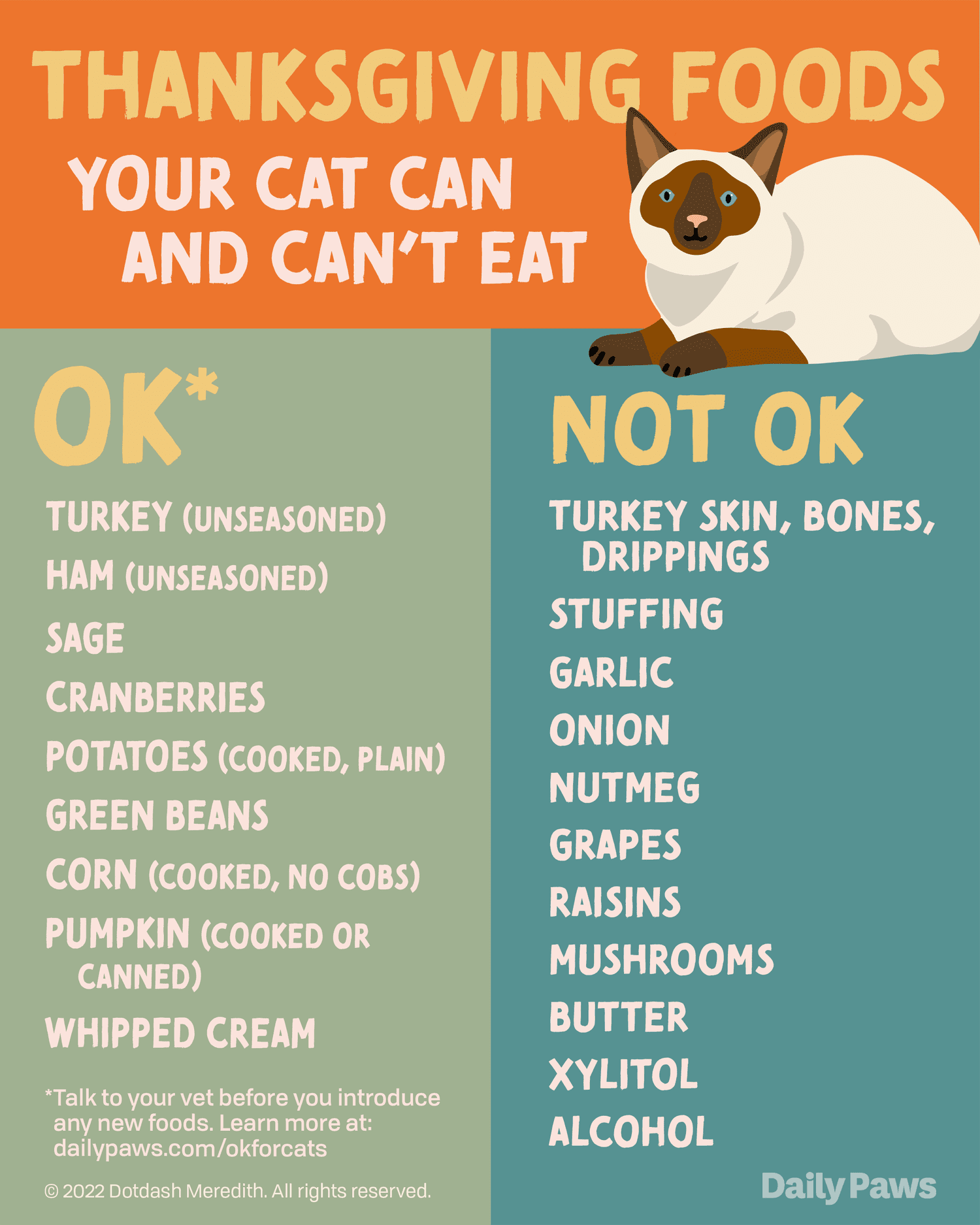 Cat Food Thanksgiving Dinner: Tips for a Feline Feast