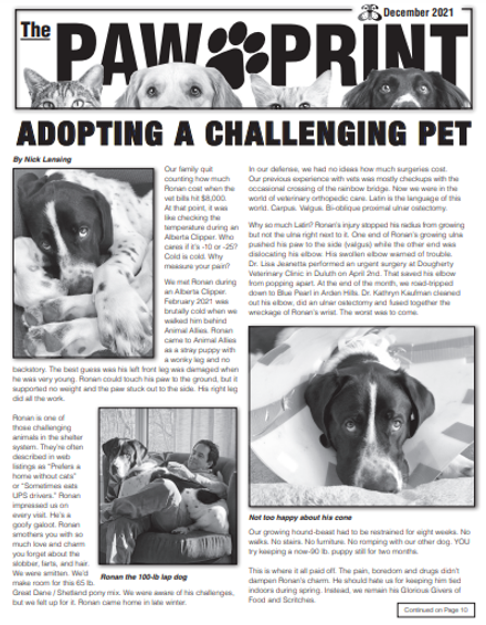 Paw News Alert: Breaking Stories About Animals