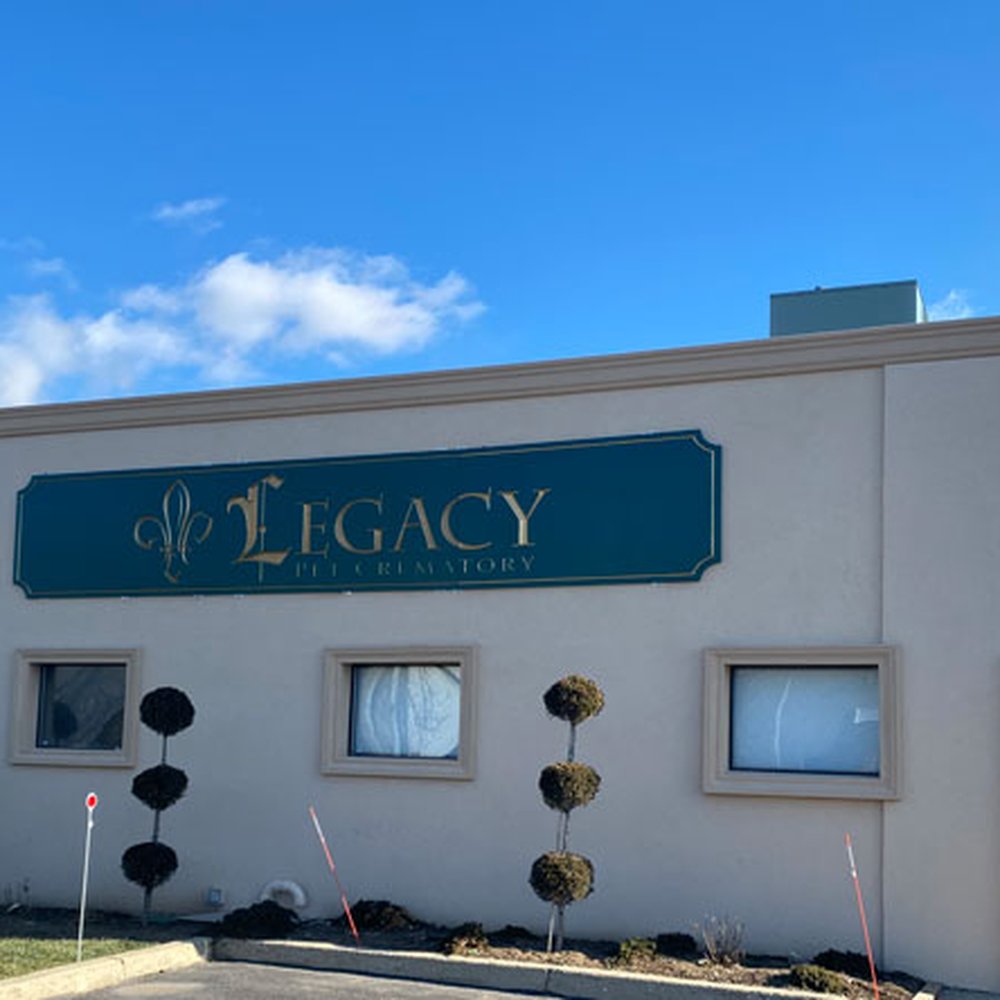 Compassionate Care: Deceased Pet Funeral Homes Near You