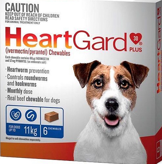 Honest Canada Pet Care Reviews: The Good and The Bad