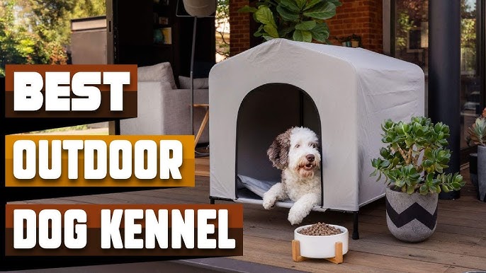 Top-Rated Climate Control Dog Kennels: Buyers Guide 2024