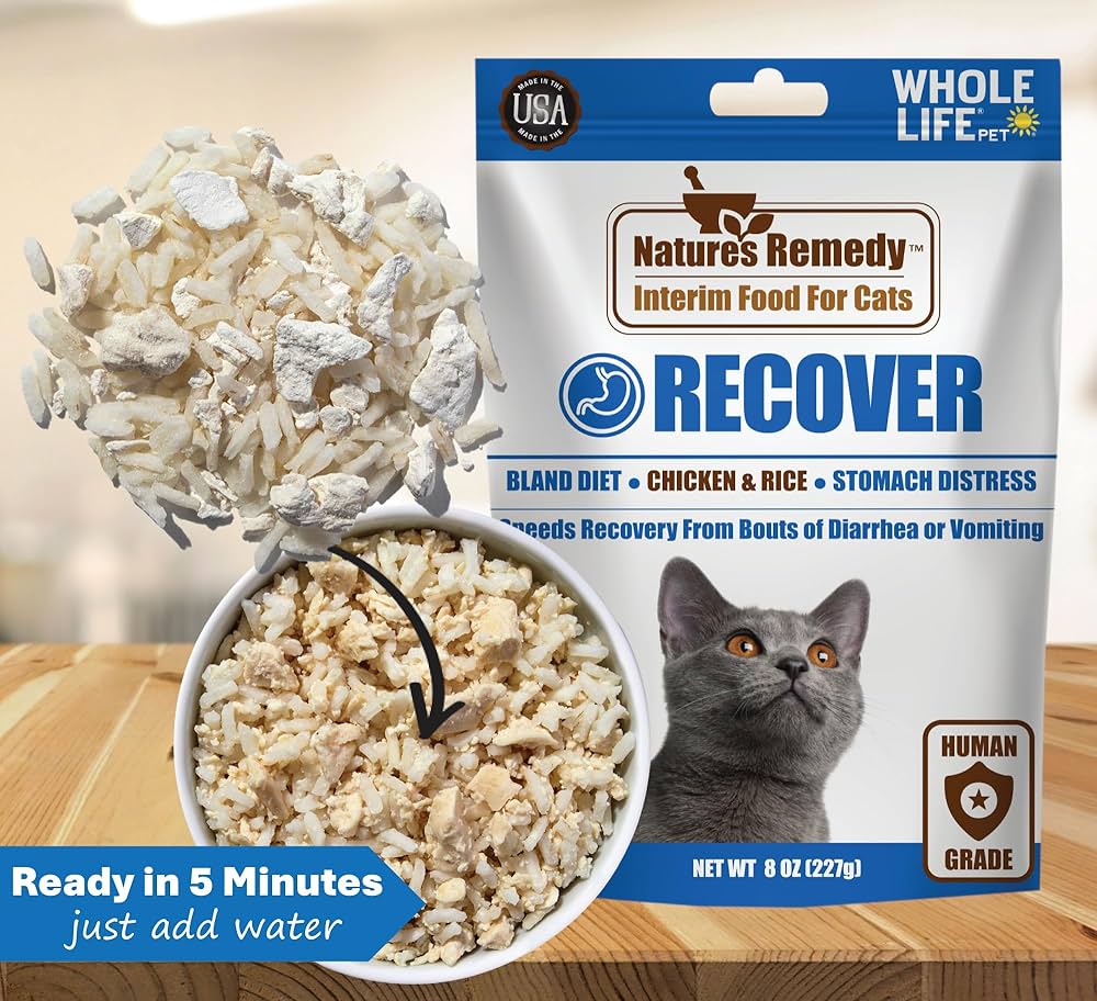 Say Goodbye to Bland Cat Food: Tasty Options Your Cat Will Love