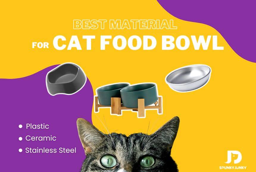 Ceramic Cat Food Bowls vs Plastic: Which is Better for Your Cat?