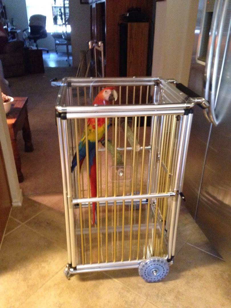 P&D Pet Supply Mountain Top: Your One-Stop Shop for Pet Needs (Find Everything Your Furry Friend Desires)