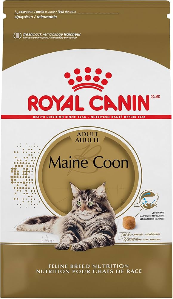 Best Dry Food for Maine Coon Cats: Nutrition and Palatability
