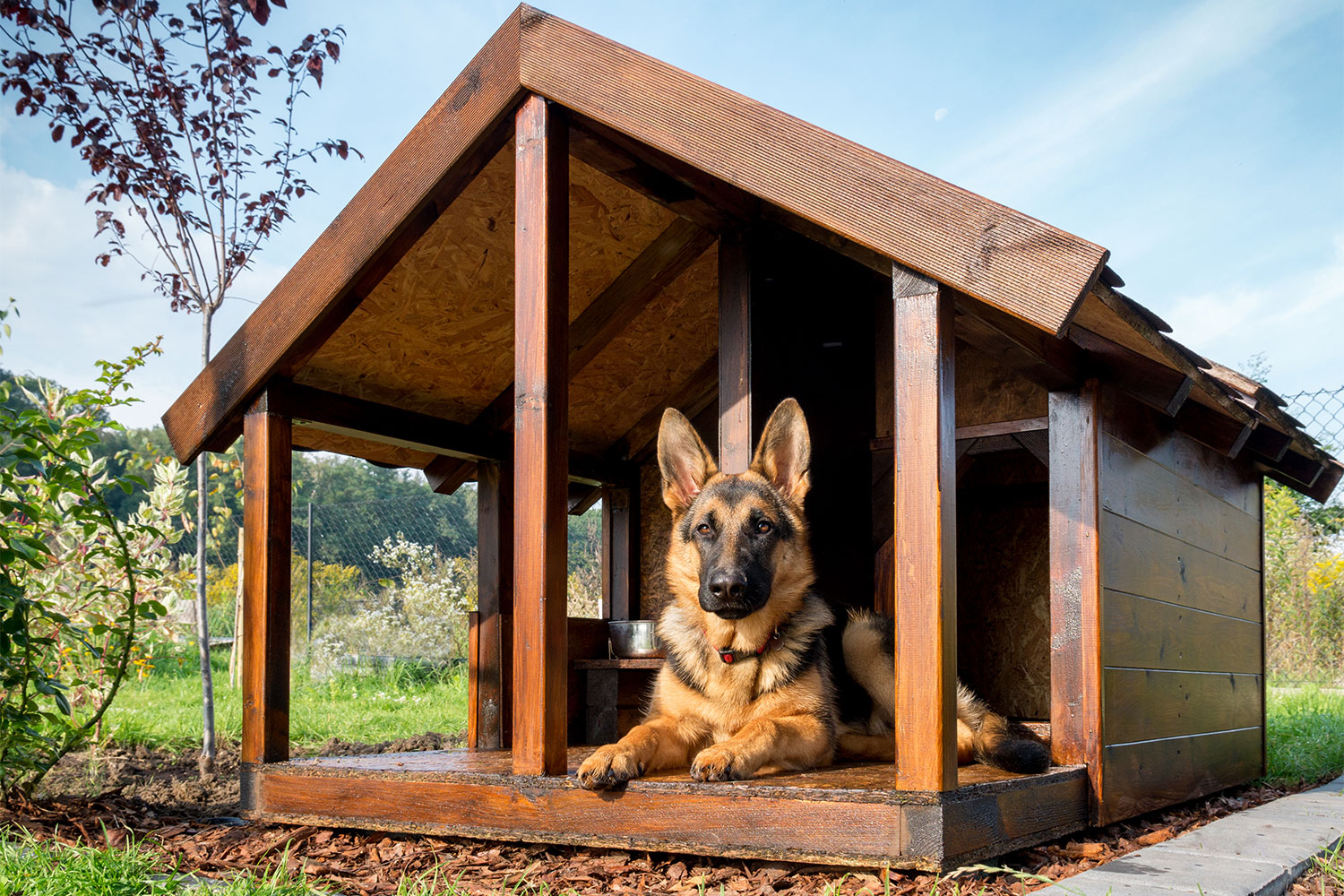 Outdoor Dog Kennel Heater Safety Tips: Keep Your Dog Cozy & Secure