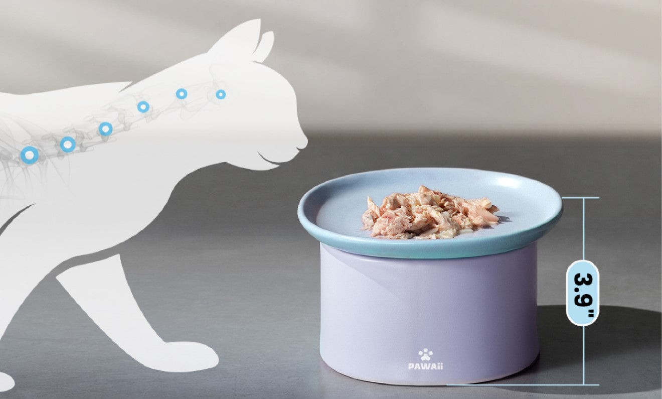 Elevated Cat Food Bowl: Why Your Cat Needs One?