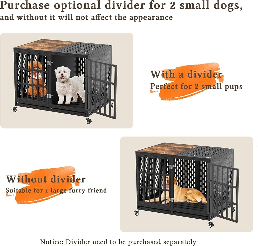 Best Dog Crates for Labrador Retriever: Top Picks for Your Furry Friend