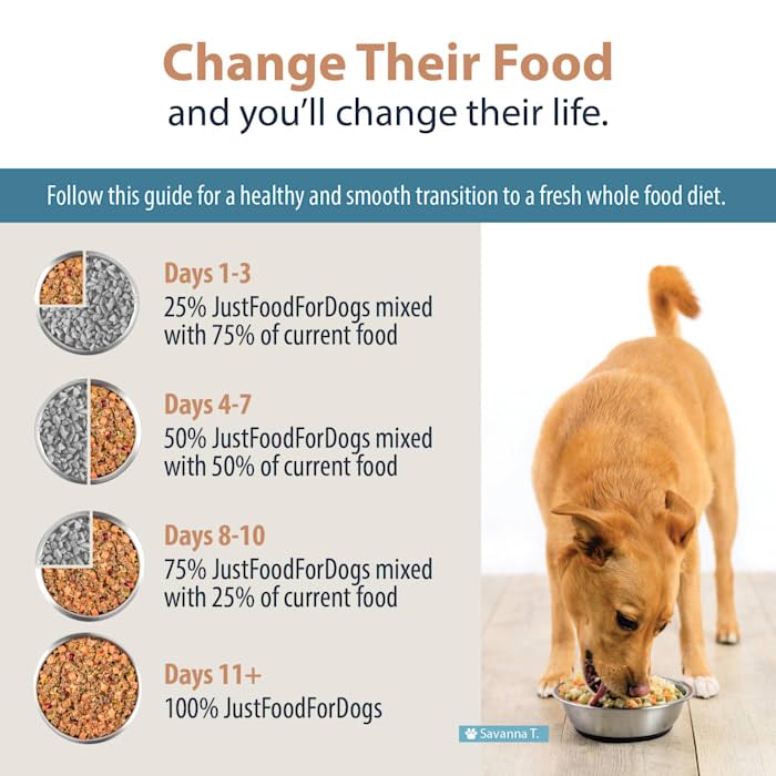 Switching to Venison Dog Food: A Simple Guide (Everything You Need to Know About This Healthy Choice)