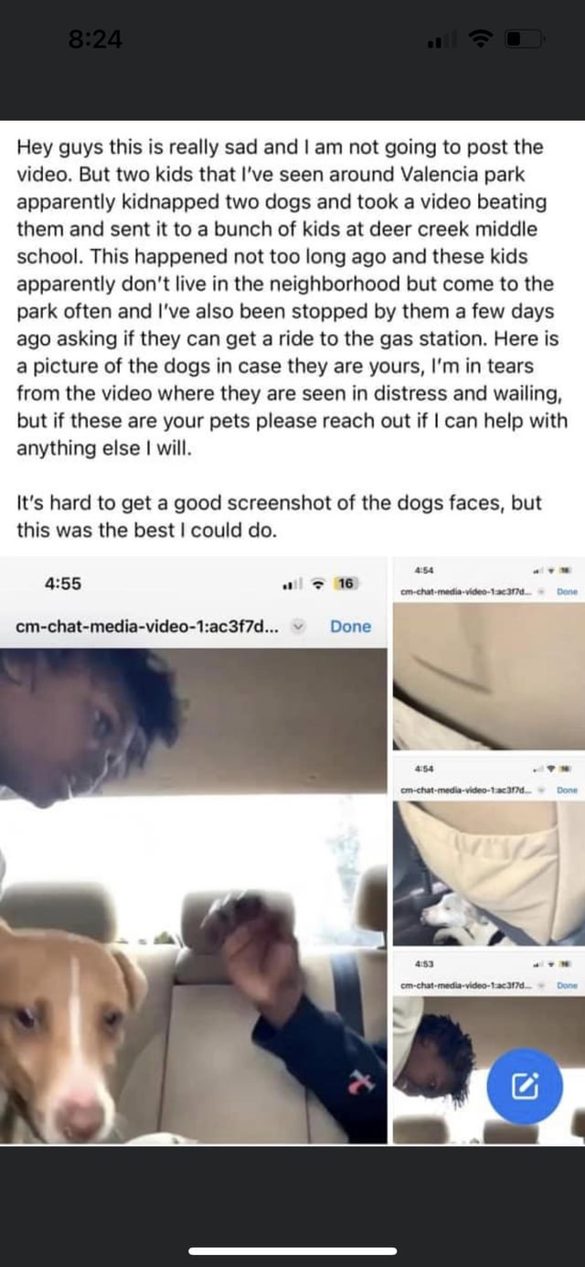 Teen Fucks Dog: Legal Consequences and Reporting Animal Cruelty