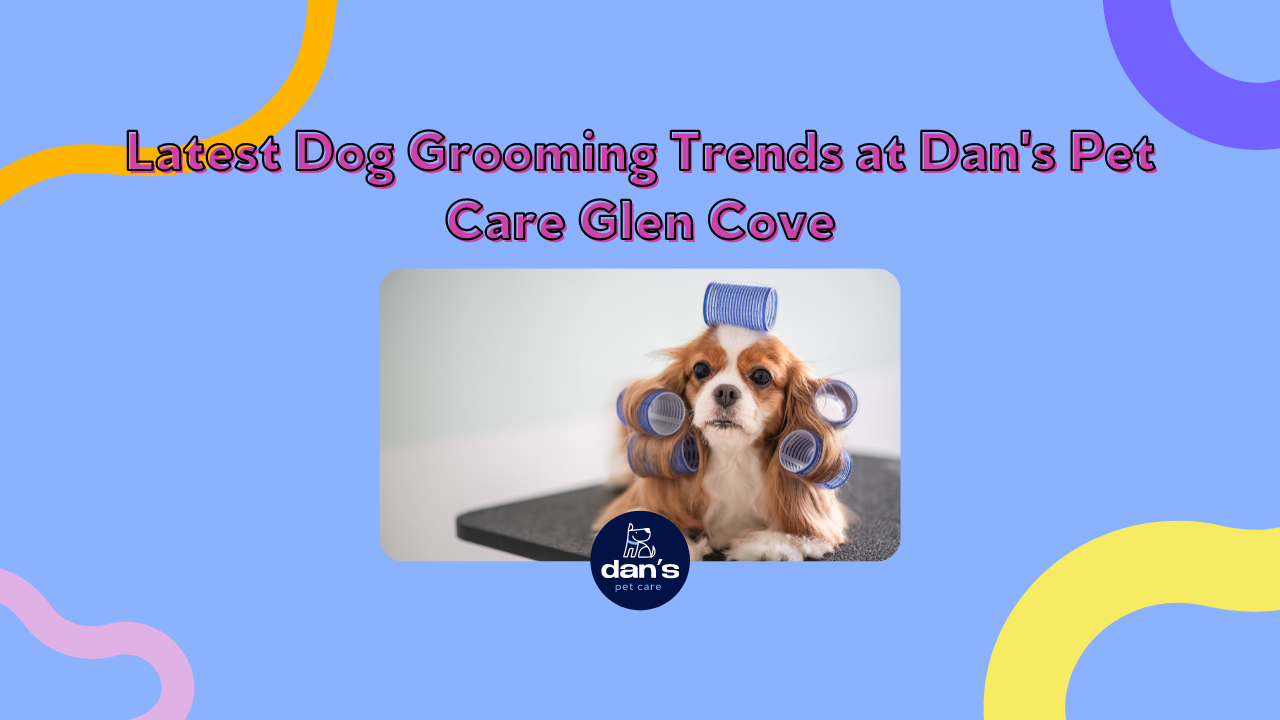 Dans Pet Care - Glen Cove: The Top Choice for Pet Services