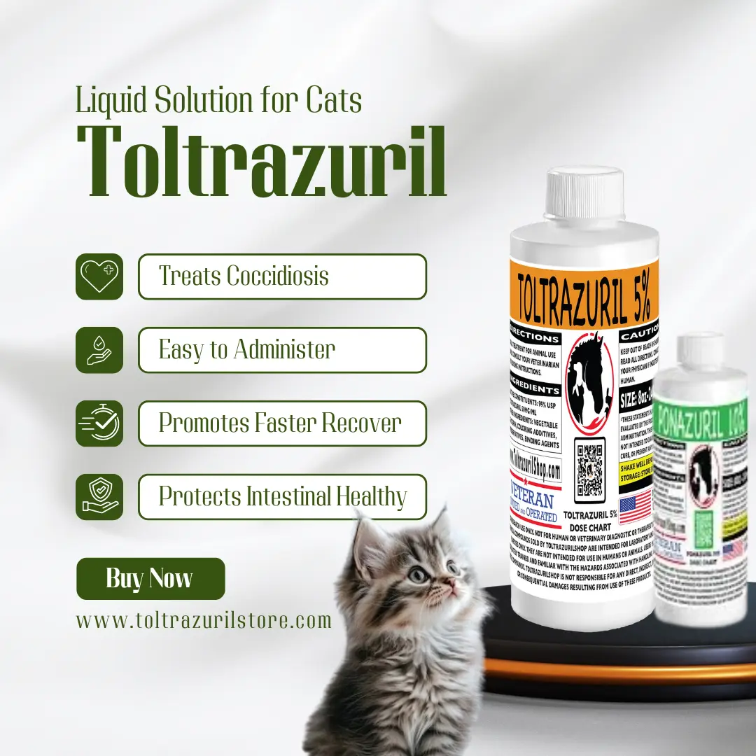 Treating Coccidiosis in Cats: Is Toltrazuril the Best Choice?