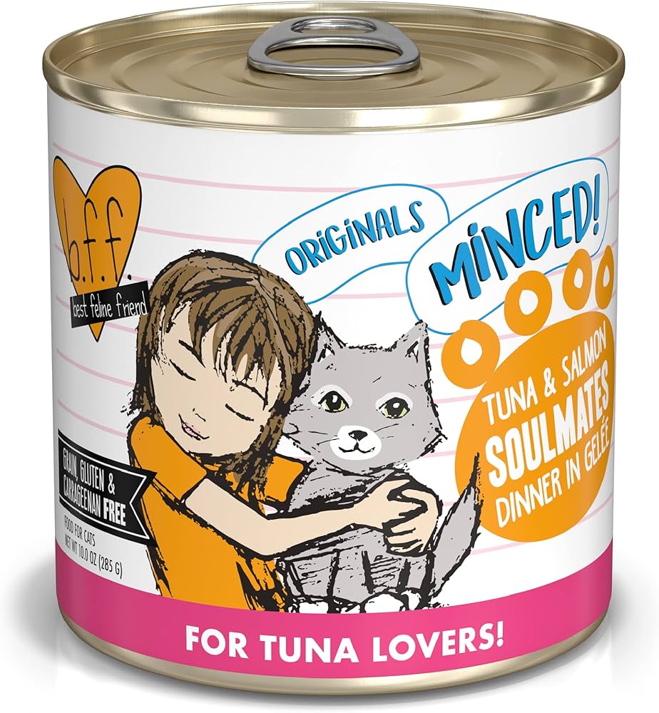 Fish Cat Food: The Best Choice for Your Furry Friend?