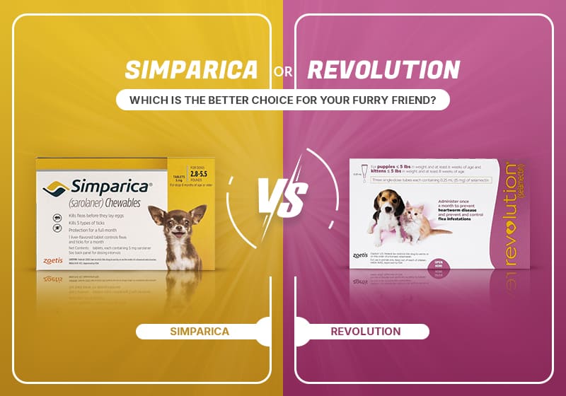 Simparica Trio for Cats vs. Revolution Plus: Which One Is Better?