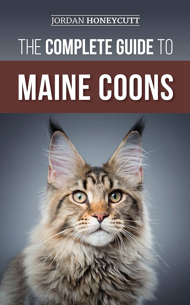 The Ultimate Guide to Female Maine Coon Cats