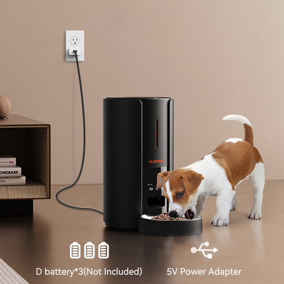 Pet Lodge Feeder Problems? Troubleshooting Tips